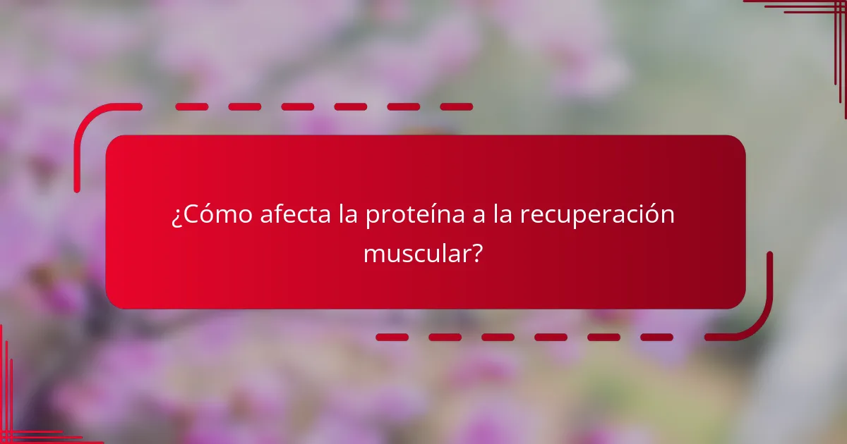 ¿Cómo afecta la proteína a la recuperación muscular?
