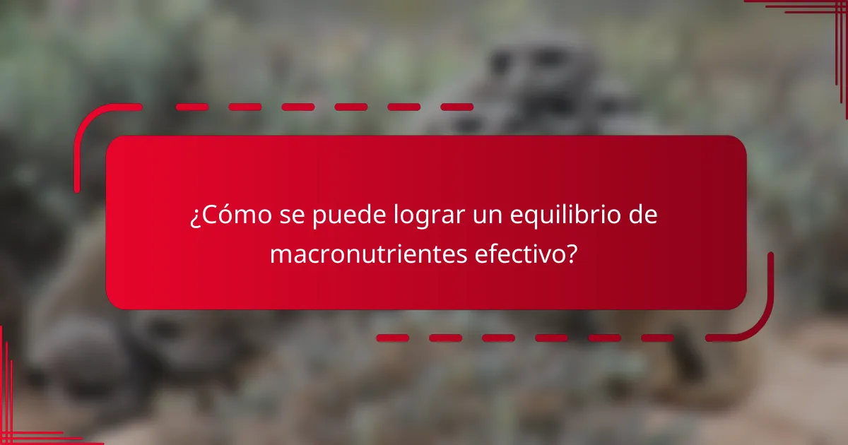 ¿Cómo se puede lograr un equilibrio de macronutrientes efectivo?