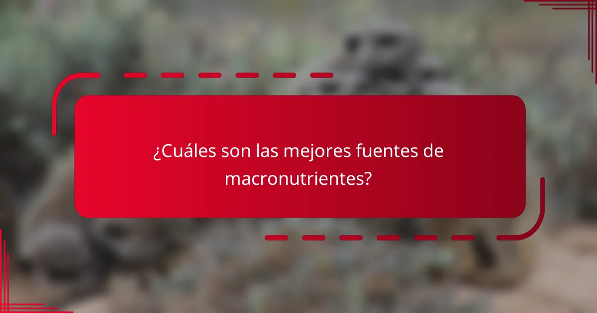 ¿Cuáles son las mejores fuentes de macronutrientes?