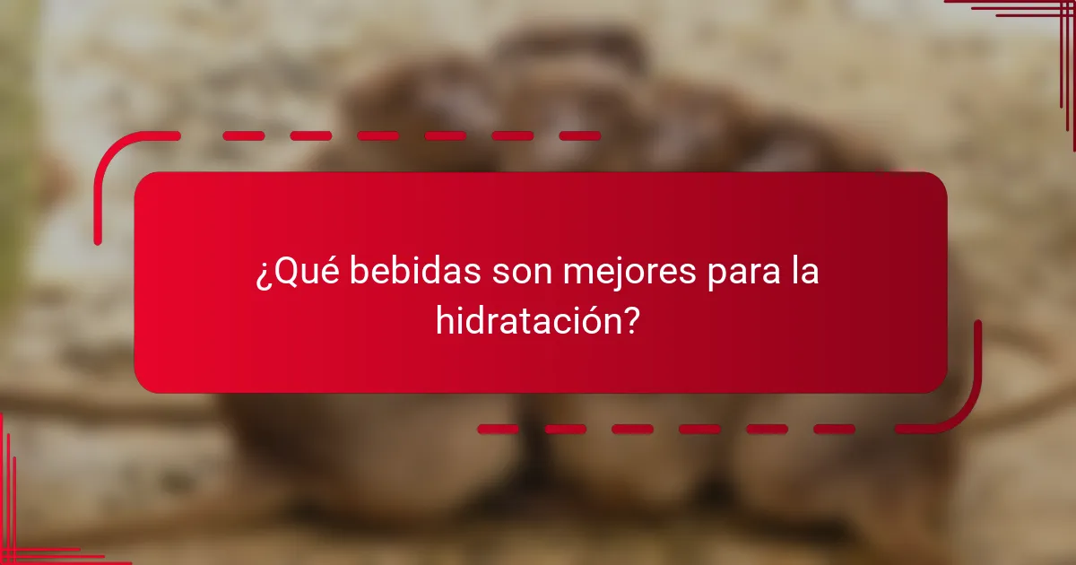 ¿Qué bebidas son mejores para la hidratación?