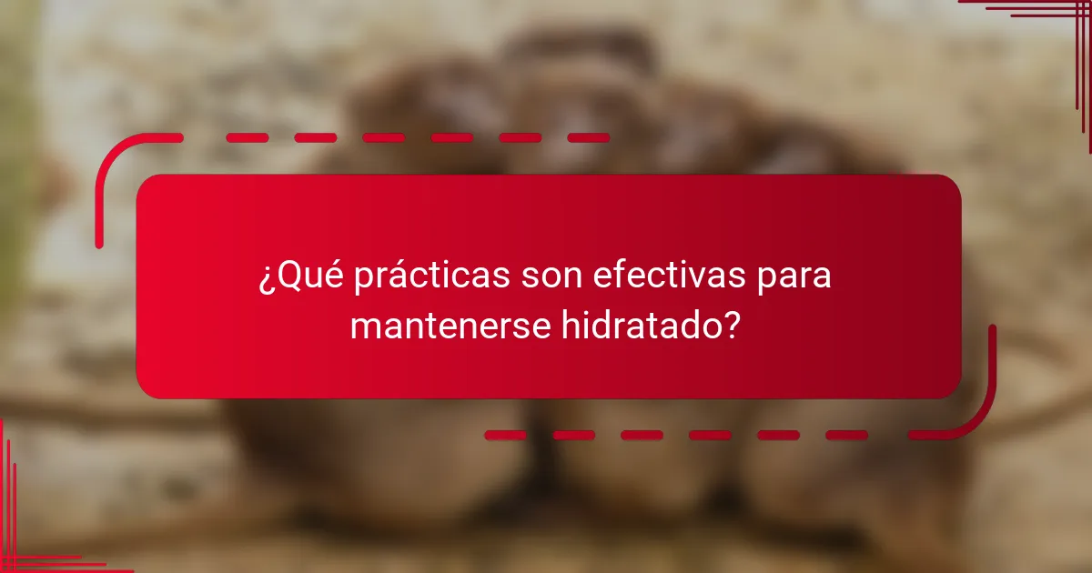 ¿Qué prácticas son efectivas para mantenerse hidratado?